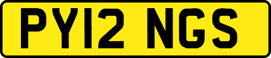 PY12NGS