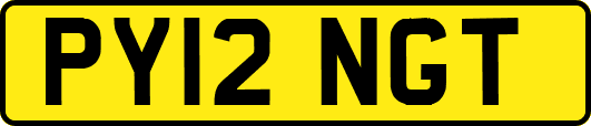 PY12NGT