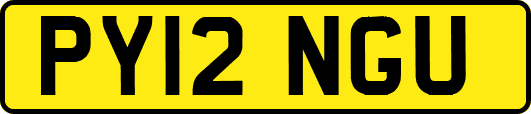 PY12NGU