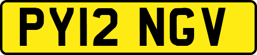 PY12NGV
