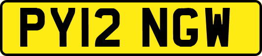 PY12NGW