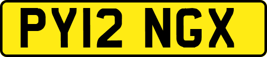 PY12NGX