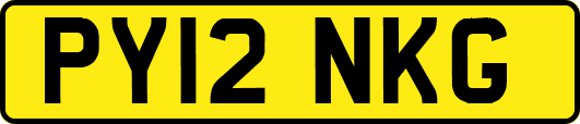 PY12NKG