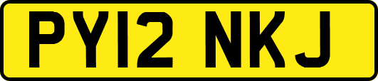 PY12NKJ