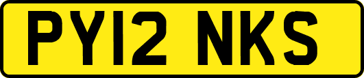 PY12NKS