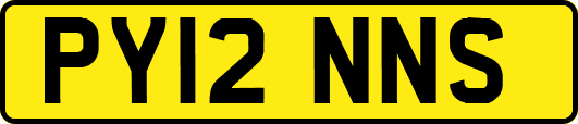 PY12NNS