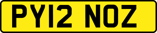 PY12NOZ