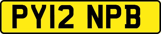 PY12NPB