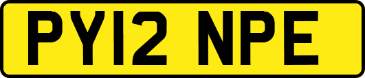PY12NPE