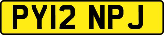 PY12NPJ