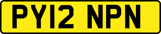 PY12NPN