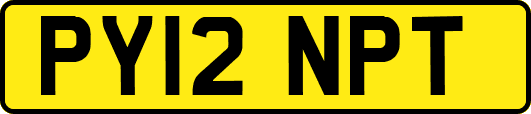 PY12NPT