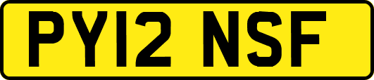PY12NSF