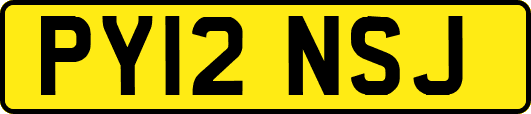 PY12NSJ