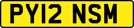 PY12NSM