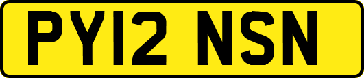 PY12NSN