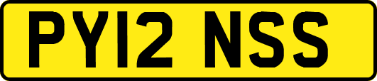 PY12NSS