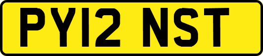 PY12NST