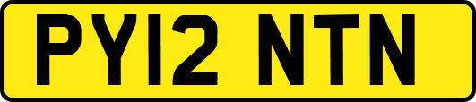 PY12NTN