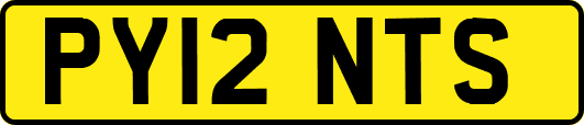 PY12NTS