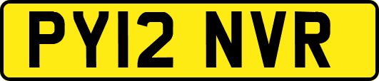 PY12NVR