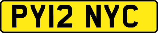 PY12NYC