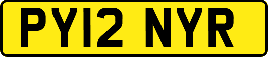 PY12NYR