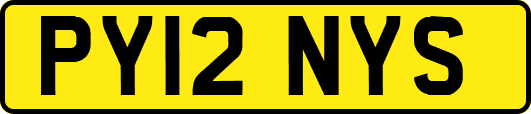 PY12NYS