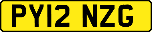 PY12NZG