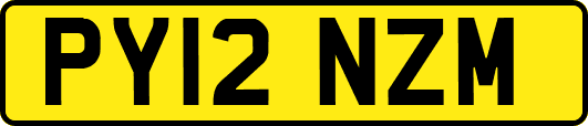 PY12NZM