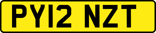 PY12NZT