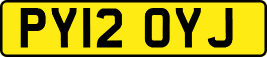 PY12OYJ