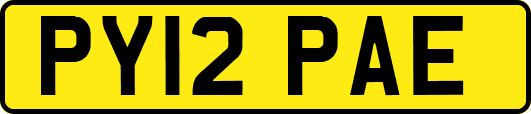 PY12PAE