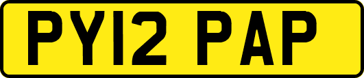 PY12PAP
