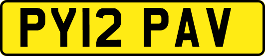 PY12PAV