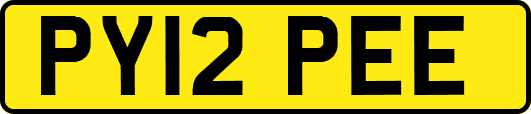 PY12PEE