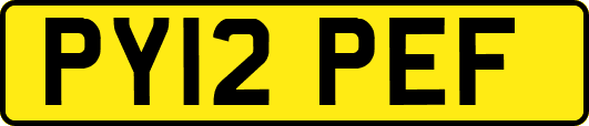PY12PEF