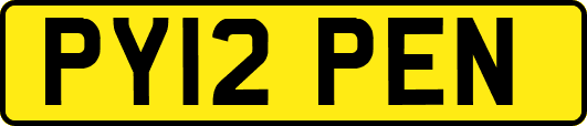 PY12PEN