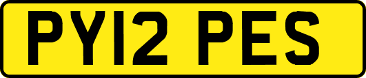 PY12PES