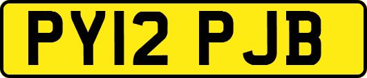 PY12PJB
