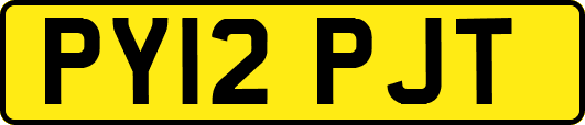 PY12PJT