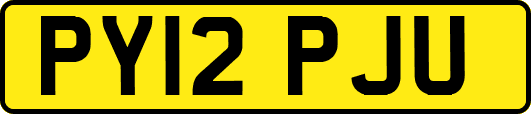 PY12PJU