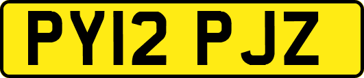 PY12PJZ