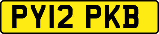 PY12PKB
