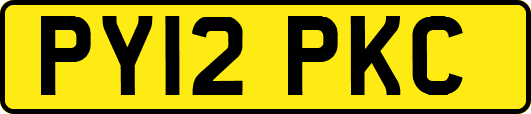 PY12PKC