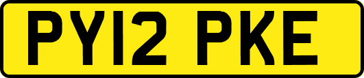 PY12PKE