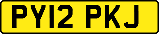 PY12PKJ