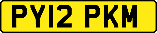 PY12PKM