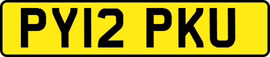 PY12PKU