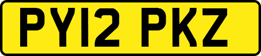 PY12PKZ